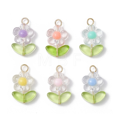 Transparent Acrylic Pendants PALLOY-JF03713-02-1