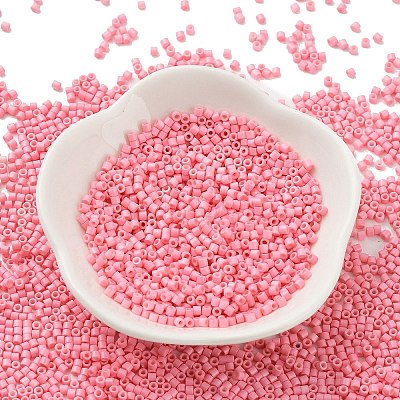Baking Paint Glass Seed Beads X-SEED-S042-05B-86-1
