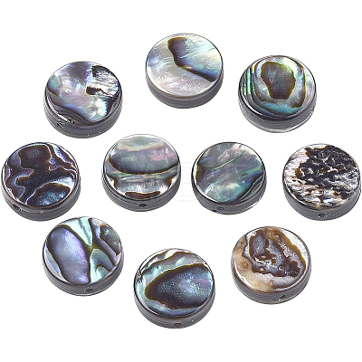 Natural Abalone Shell/Paua Shell Beads Strands SSHEL-BC0001-11-1