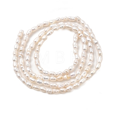 Natural Cultured Freshwater Pearl Beads Strands PEAR-I007-01K-03A-1