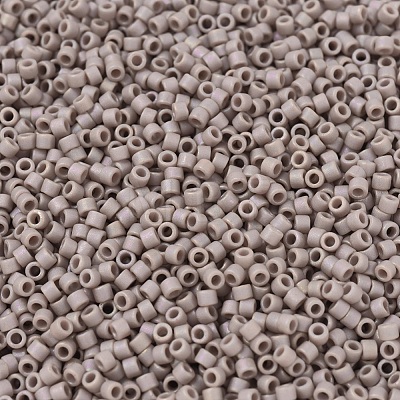 MIYUKI Delica Beads X-SEED-J020-DB2305-1