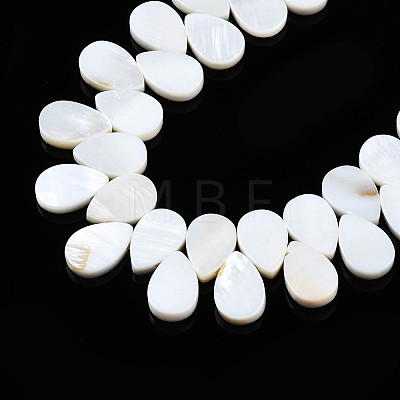 Natural Freshwater Shell Beads Strands SHEL-Q024-007-1