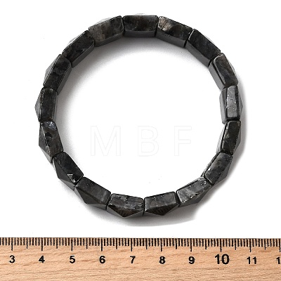 Natural Larvikite Beads Stretch Bracelets for Women Men BJEW-C097-06-06-1