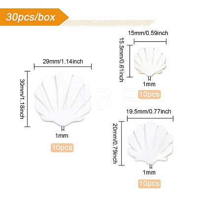 30Pcs 3 Sizes Natural Freshwater Shell Beads SHEL-BC0001-008-1