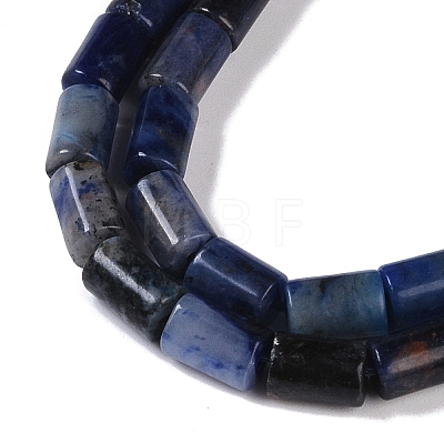 Natural Sodalite Beads Strands G-C128-A25-01-1