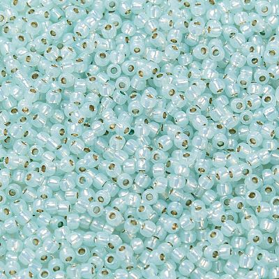 TOHO 11/0 Round Beads X-SEED-TR11-PF2116-1