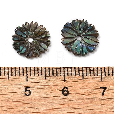 Natural Paua Shell Carved Beads SSHEL-Z002-04-1
