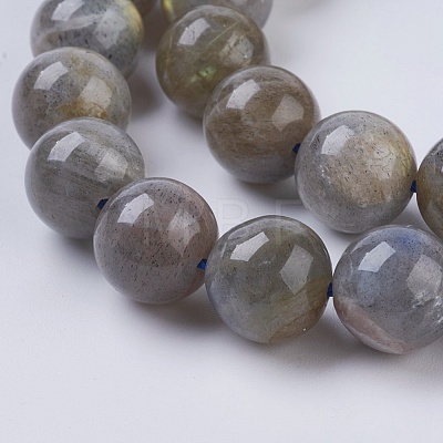 Natural Labradorite Beads Strands X-G-G212-10mm-23-1