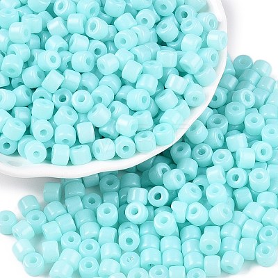 Opaque Baking Paint Glass Seed Beads SEED-T008-02N-1