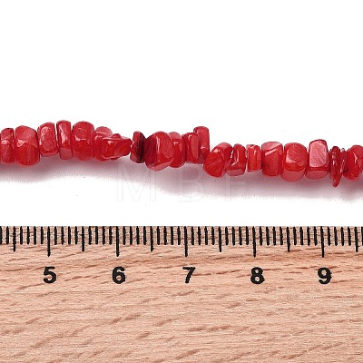 Natural Freshwater Shell Beads SHEL-B003-01C-1