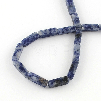 Cuboid Natural Blue Spot Gemstone Bead Strands G-R299-04-1