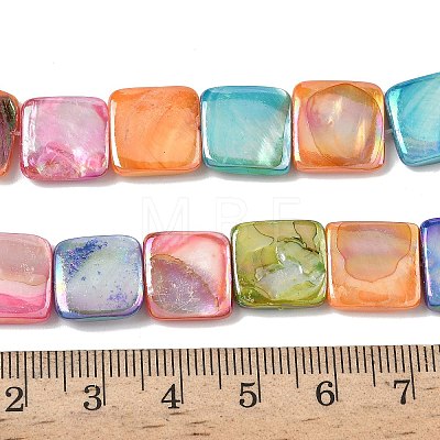 Natural Freshwater Shell Beads Strands SHEL-K006-54-1