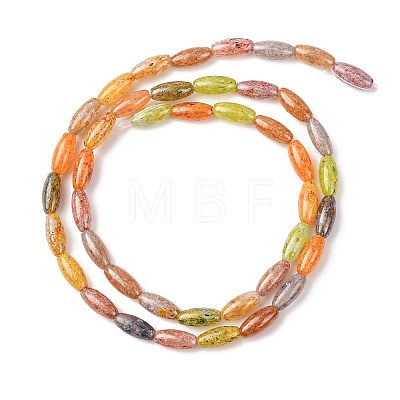 Handmade Lampwork Beads LAMP-B051-02B-1