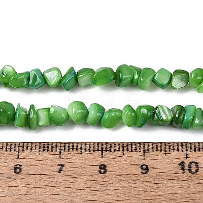 Natural Freshwater Shell Beads Strands SHEL-N037-04J-1