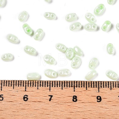 Opaque Colours Luster Glass Seed Beads SEED-T006-02I-1