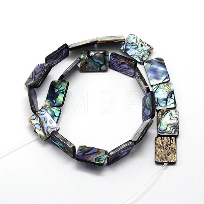 Natural Paua Shell Beads Strands SSHEL-J047-10A-01-1