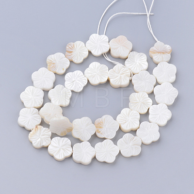 Natural Freshwater Shell Bead Strands X-SHEL-T001-A01-1