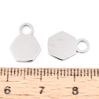 201 Stainless Steel Charms STAS-T070-13P-1