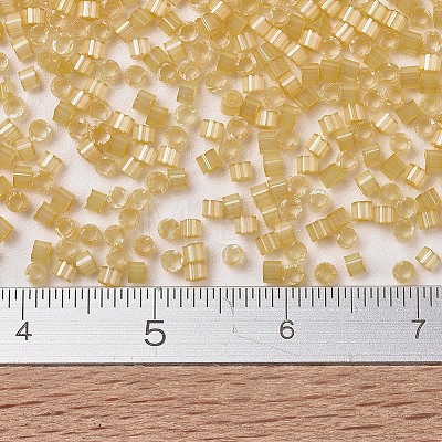 MIYUKI Delica Beads SEED-X0054-DB1801-1