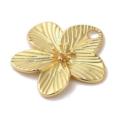 Rack Plating Brass Pendants X-KK-A229-12G-1