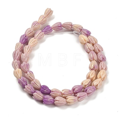 Synthetic Shell Dyed Carved Beads Strands SHEL-K007-08A-01-1