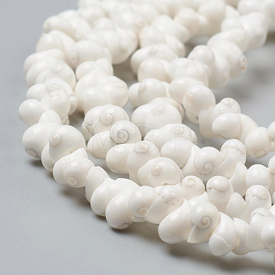 Natural Spiral Shell Beads Strands X-BSHE-I011-11C-1