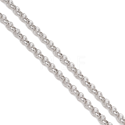 304 Stainless Steel  Eyeglasses Chains AJEW-EH00407-1