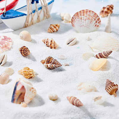Natural Sea Shell Beads Kits SSHEL-PH0002-49-1