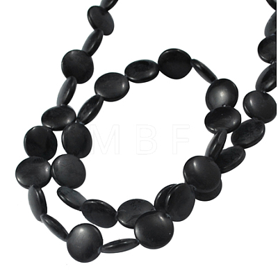 Natural Shell Beads Strands X-PBB-XXBK024Y-14-1