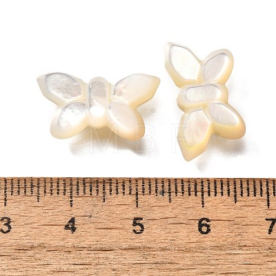 Natural White Shell Beads BSHE-Z008-02-1