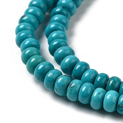 Natural Howlite Beads Strands G-B049-C01-09A-1