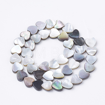 Natural Black Lip Shell Beads Strands SSHEL-Q298-11-1