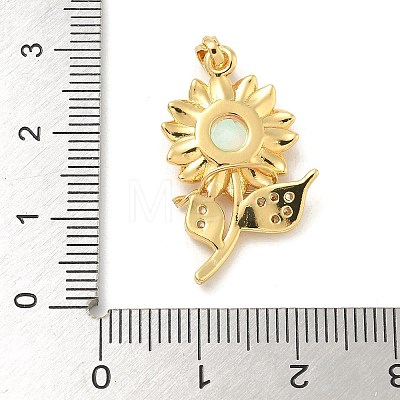 Brass Micro Pave Cubic Zirconia with Resin Pendants KK-G517-05G-01-1