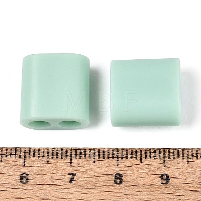 ABS Plastic Beads OACR-N156-07G-1