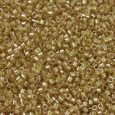 MIYUKI Delica Beads X-SEED-J020-DB0911-1