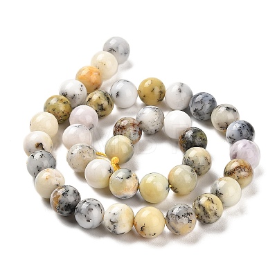 Natural African Opal Beads Strands G-B048-B03-03-1