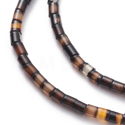 Natural Agate Beads Strands G-H255-21-1