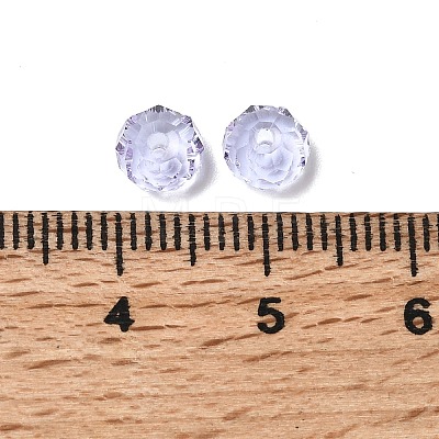 K9 Glass SWAR-F068-4x6mm-04-1