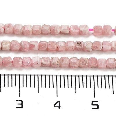 Natural Rhodonite Beads G-H042-B20-01-1