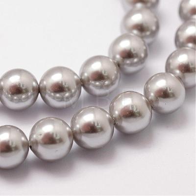 Shell Pearl Beads Strands BSHE-L026-05-6mm-1