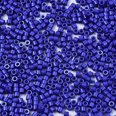 FGB 11/0 Grade A Glass Seed Beads X-SEED-S030-1024-1