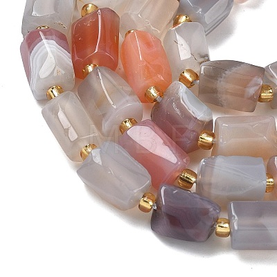 Natural Botswana Agate Beads Strands G-C270-K16-1