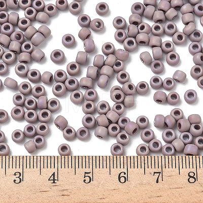 TOHO 6/0 Round Beads SEED-TR06-0412F-1