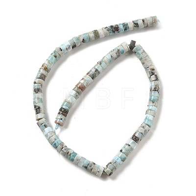 Natural Larimar Beads Strands G-Q024-B03-04-1