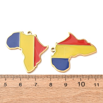 304 Stainless Steel & Enamel Pendants SA-CBA6ECE-01G-G01-1