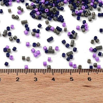 Baking Paint Glass Seed Beads X-SEED-S042-05B-54-1