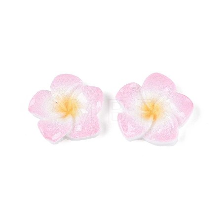Plumeria Flower Opaque Resin Cabochons CRES-T025-30C-02-1