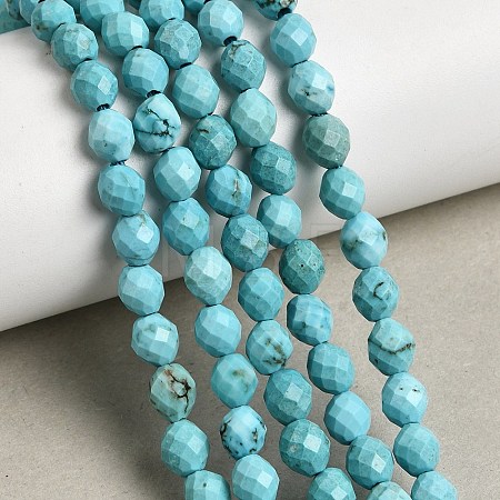 Dyed Natural Howlite Beads Strands G-K376-F06-01-1