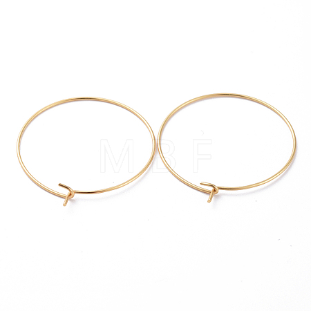 316 Stainless Steel Hoop Earring Findings STAS-J025-01D-G-1