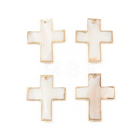 Freshwater Shell Big Pendants SHEL-T009-24-1